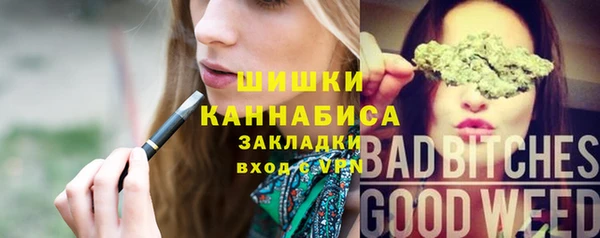 не бодяженный Няндома