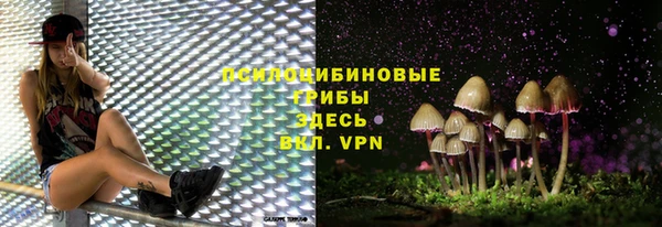 герыч Нягань