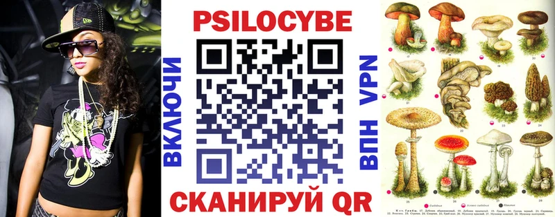 наркошоп  Чекалин  Галлюциногенные грибы прущие грибы 